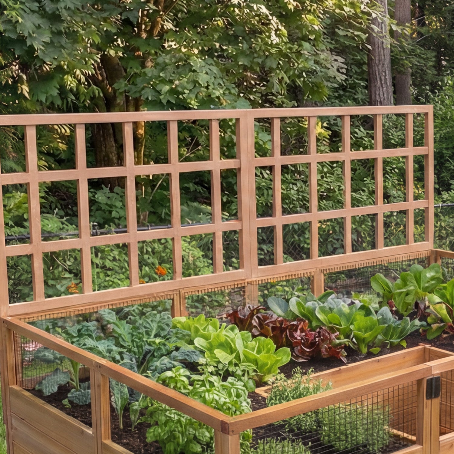 Outdoor Living Today 8x5 Western Red Cedar Raised Garden Bed