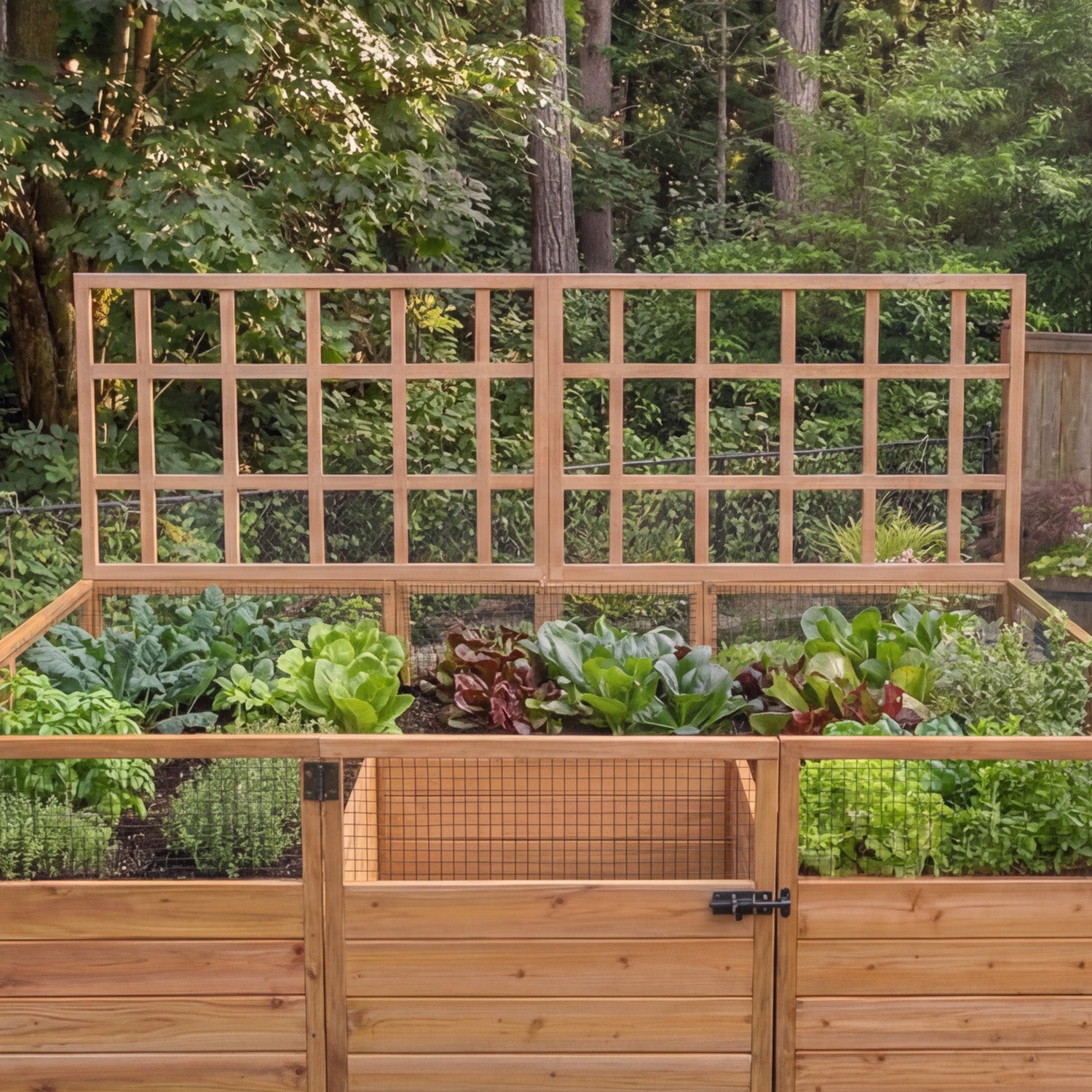 Outdoor Living Today 8x5 Western Red Cedar Raised Garden Bed