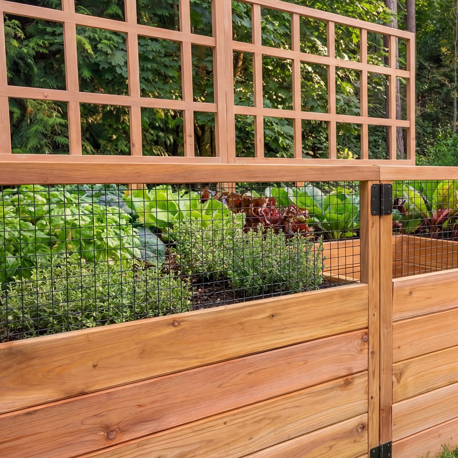Outdoor Living Today 8x5 Western Red Cedar Raised Garden Bed