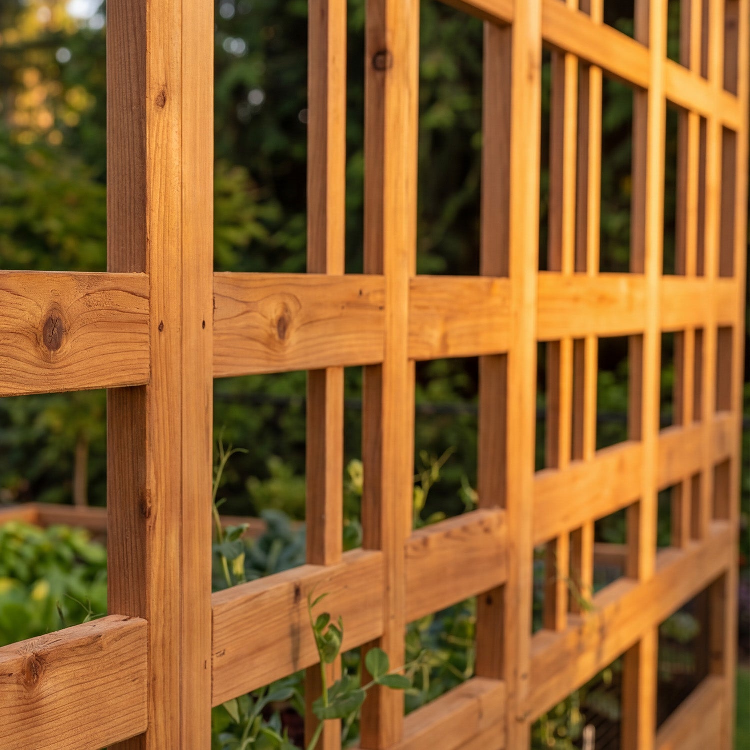 Outdoor Living Today 8x5 Western Red Cedar Raised Garden Bed