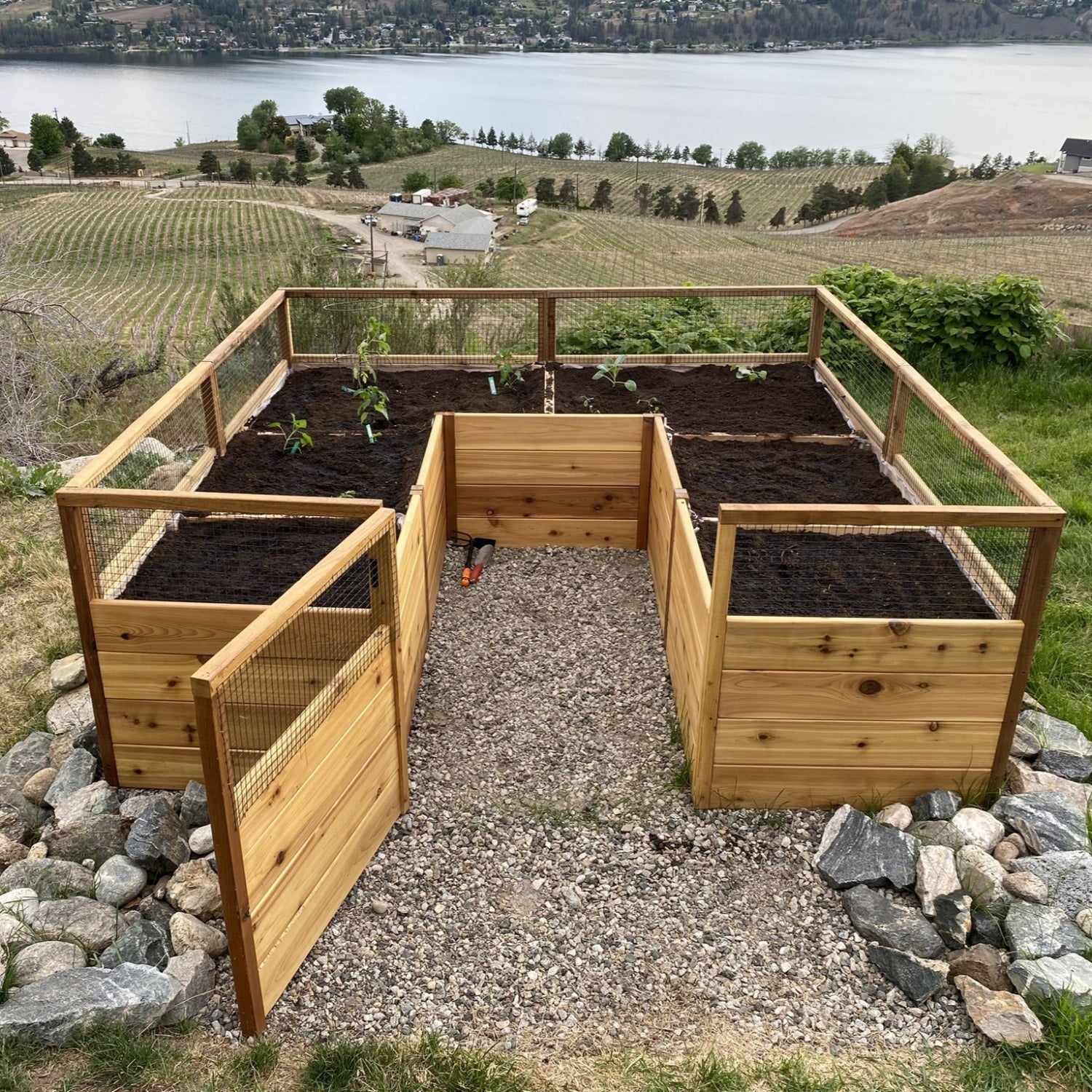 Outdoor Living Today 8x8 Western Red Cedar Raised Garden Bed