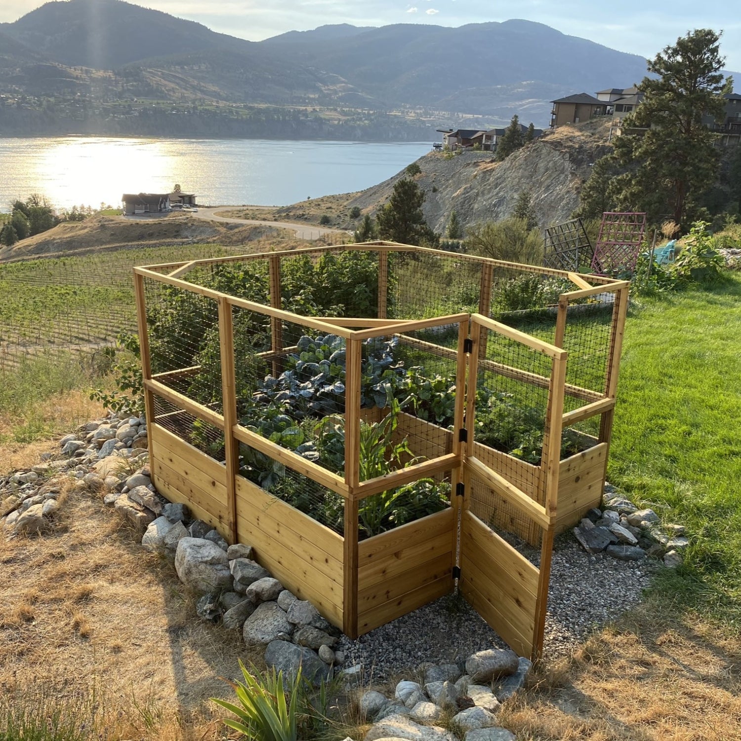 Outdoor Living Today 8x8 Western Red Cedar Raised Garden Bed with Deerfence