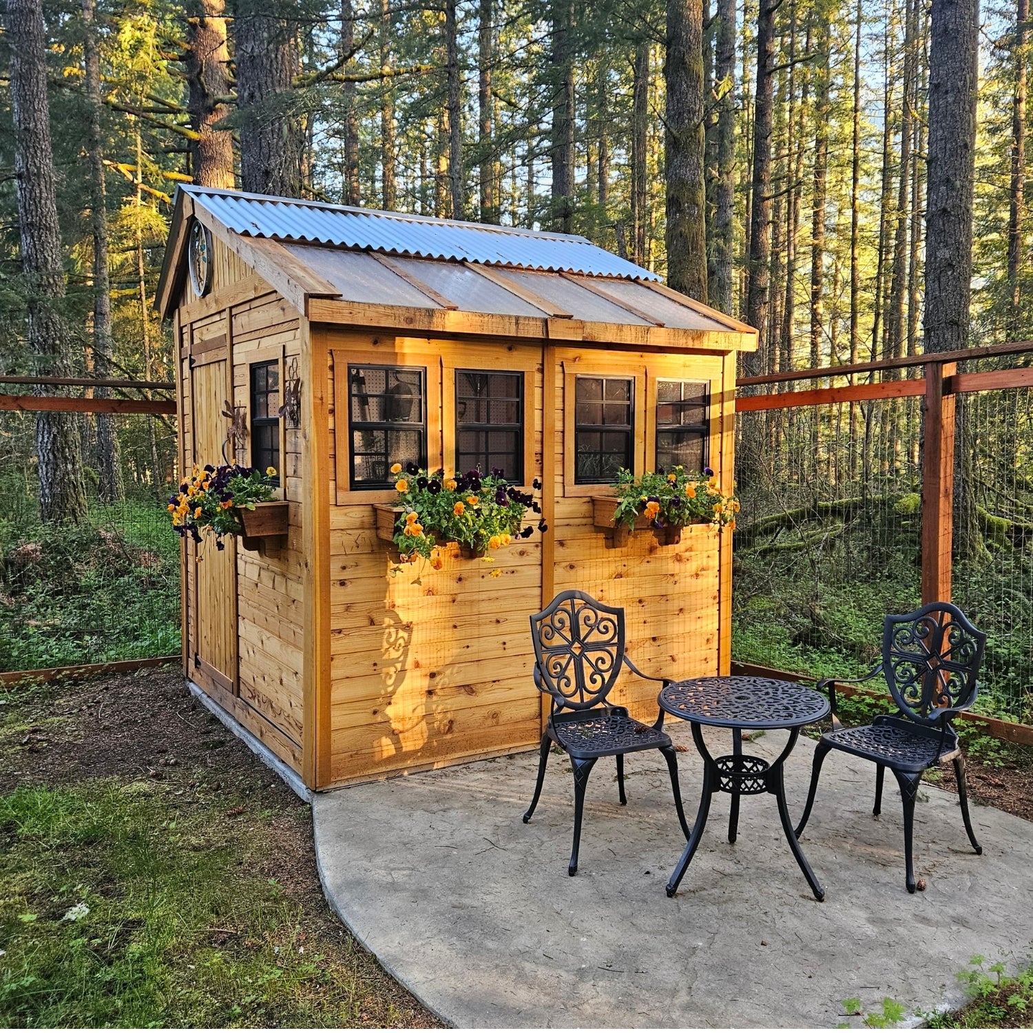 Outdoor Living Today 8x8 Western Red Cedar Sunshed Shed with Metal Roof