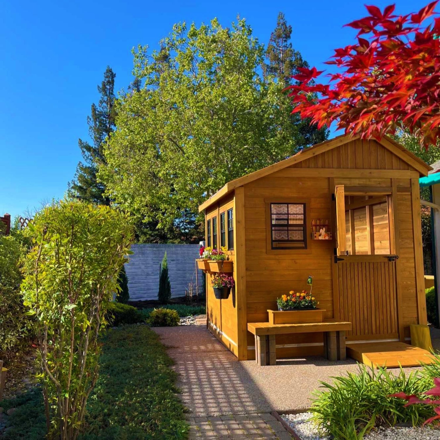 Outdoor Living Today 8x12 Western Red Cedar Sunshed Shed with Metal Roof
