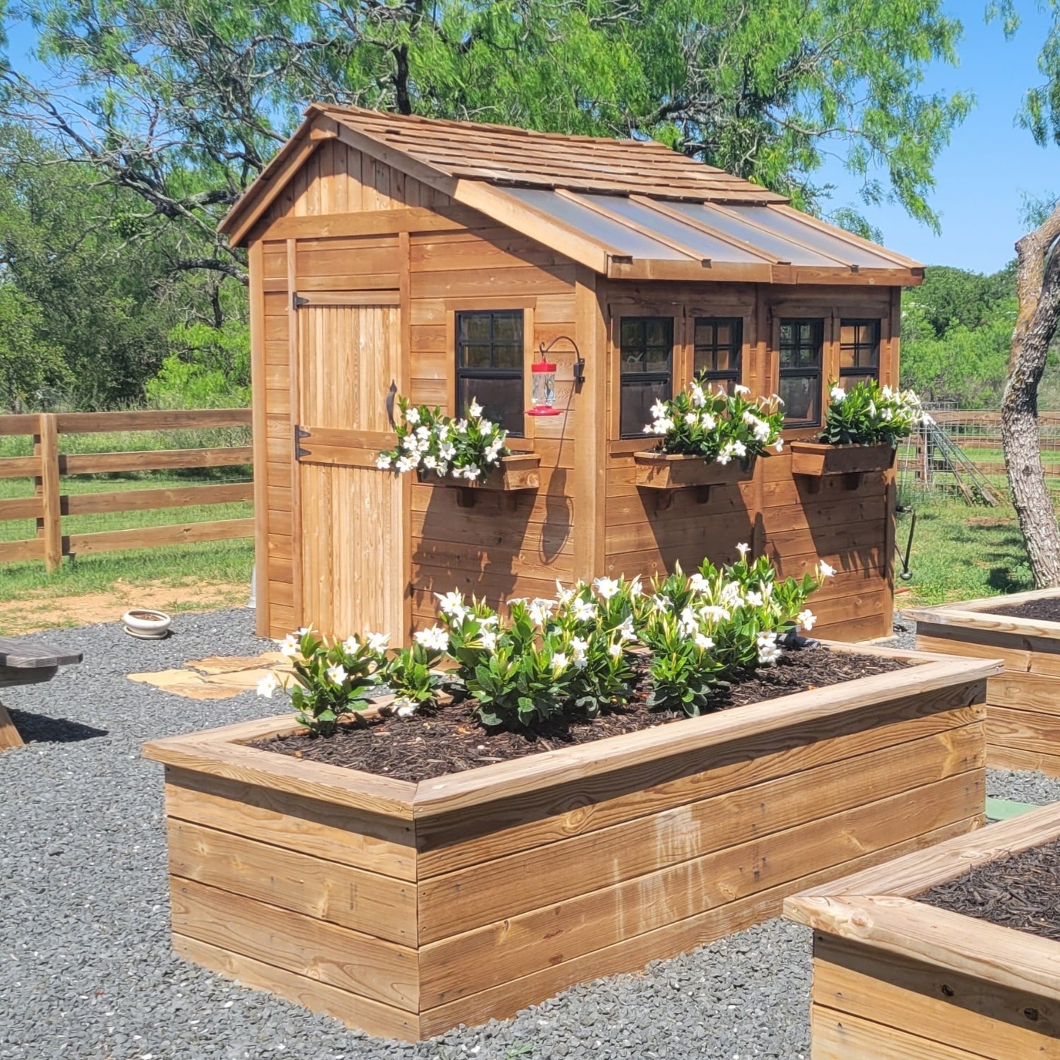 Outdoor Living Today 8x8 Western Red Cedar Sunshed Shed with Metal Roof