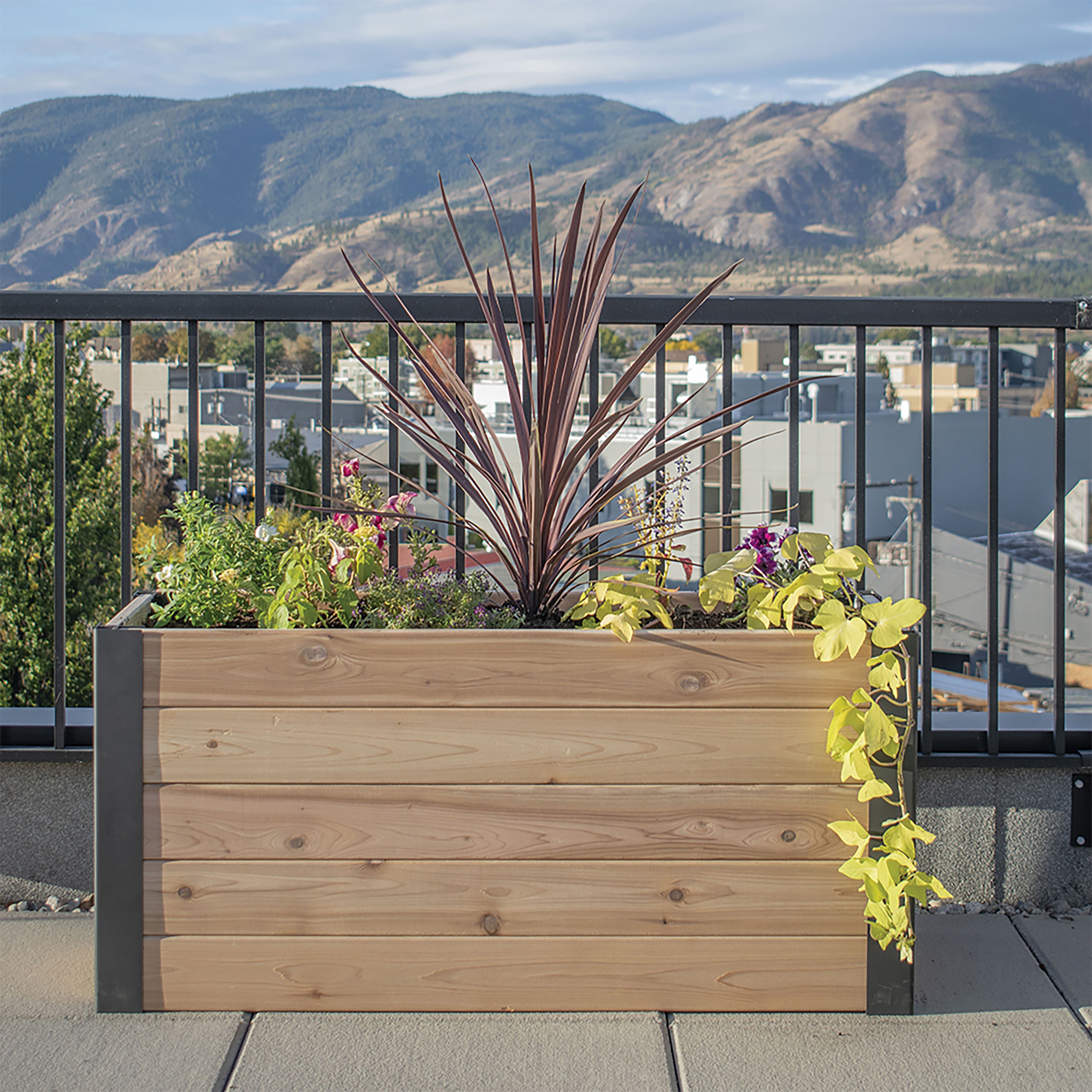 Outdoor Living Today 4x1.5 Western Red Cedar Urban Raised Garden Bed