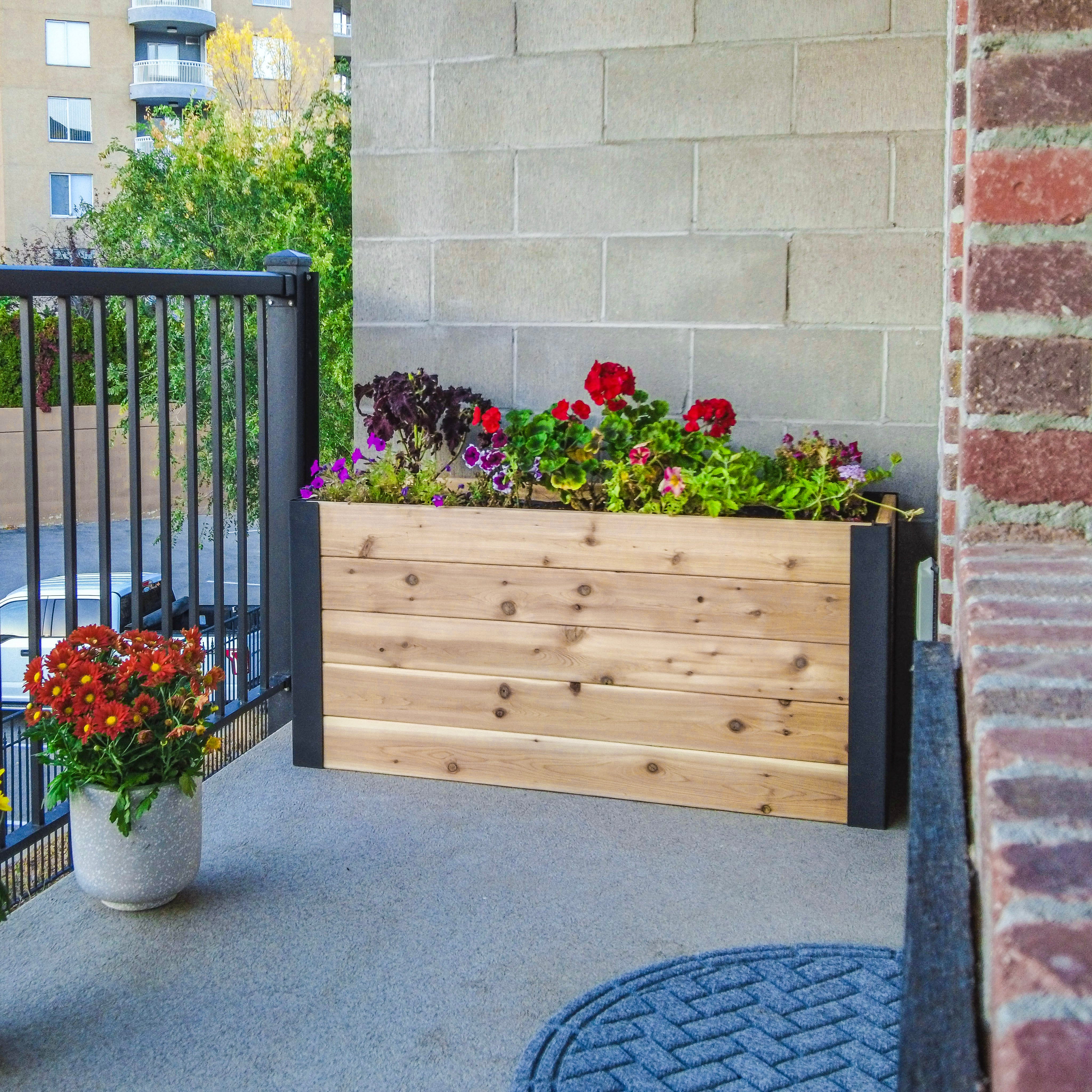 Outdoor Living Today 4x1.5 Western Red Cedar Urban Raised Garden Bed