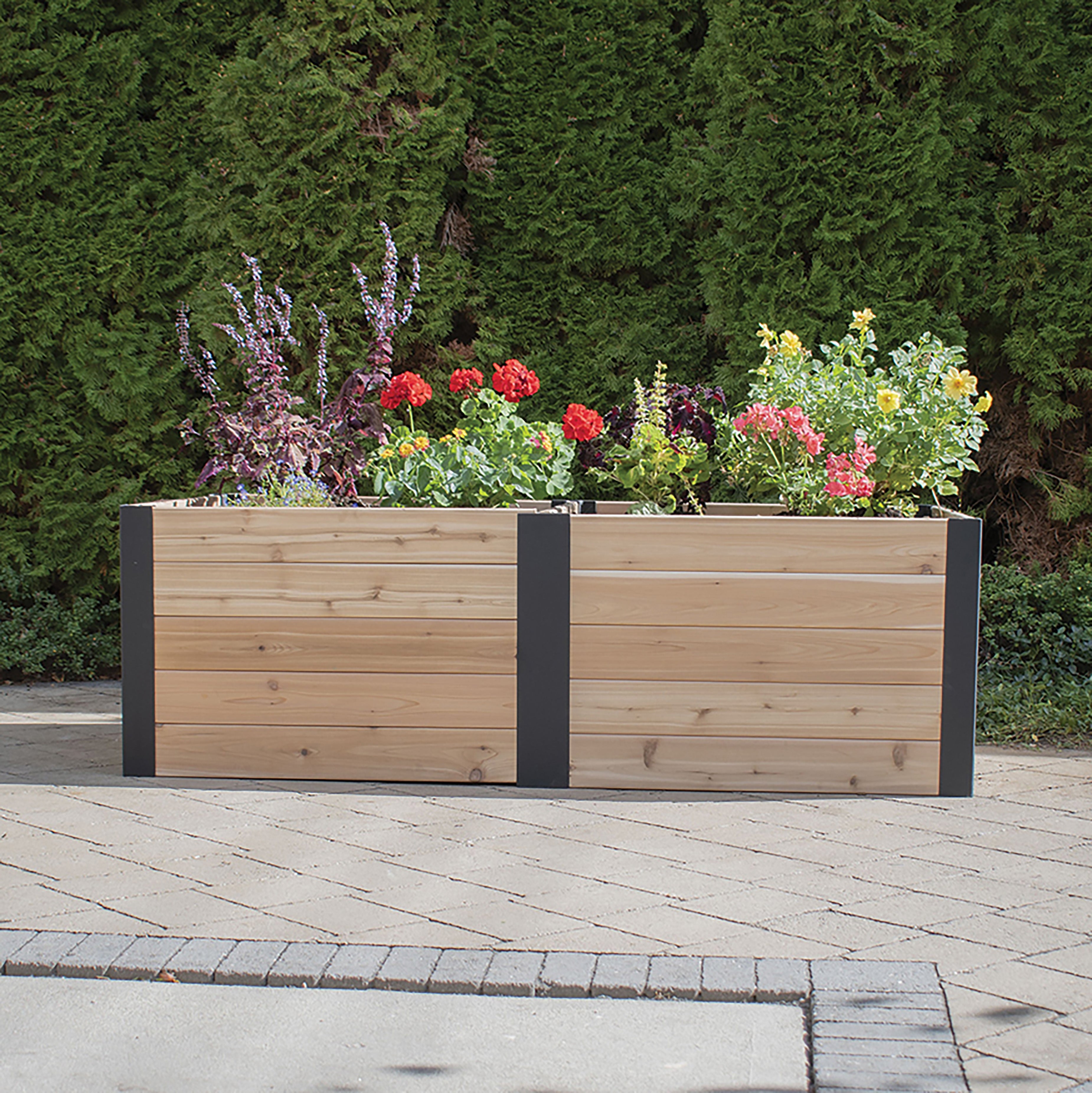 Outdoor Living Today 6x3 Western Red Cedar Urban Raised Garden Bed