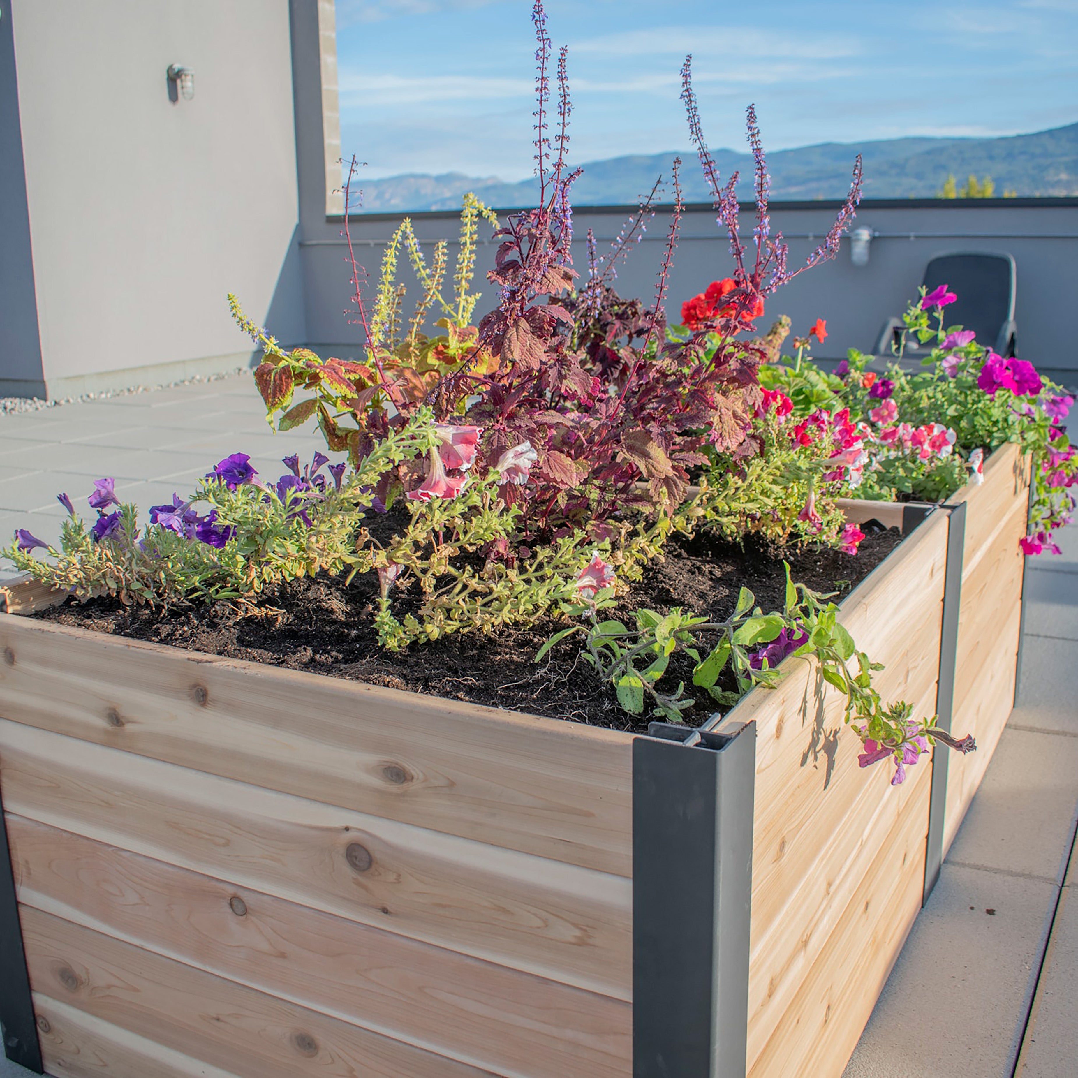 Outdoor Living Today 6x3 Western Red Cedar Urban Raised Garden Bed