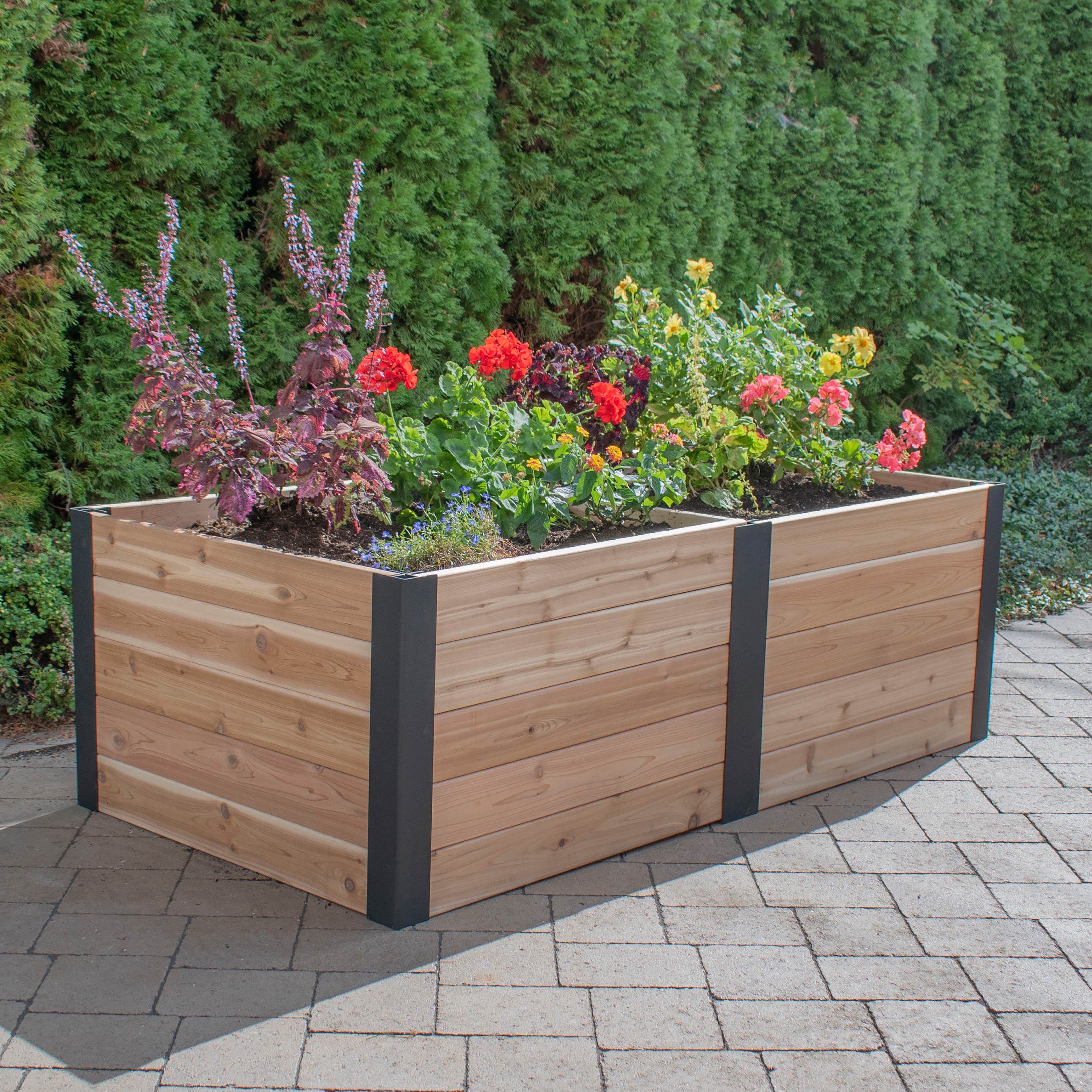 Outdoor Living Today 6x3 Western Red Cedar Urban Raised Garden Bed