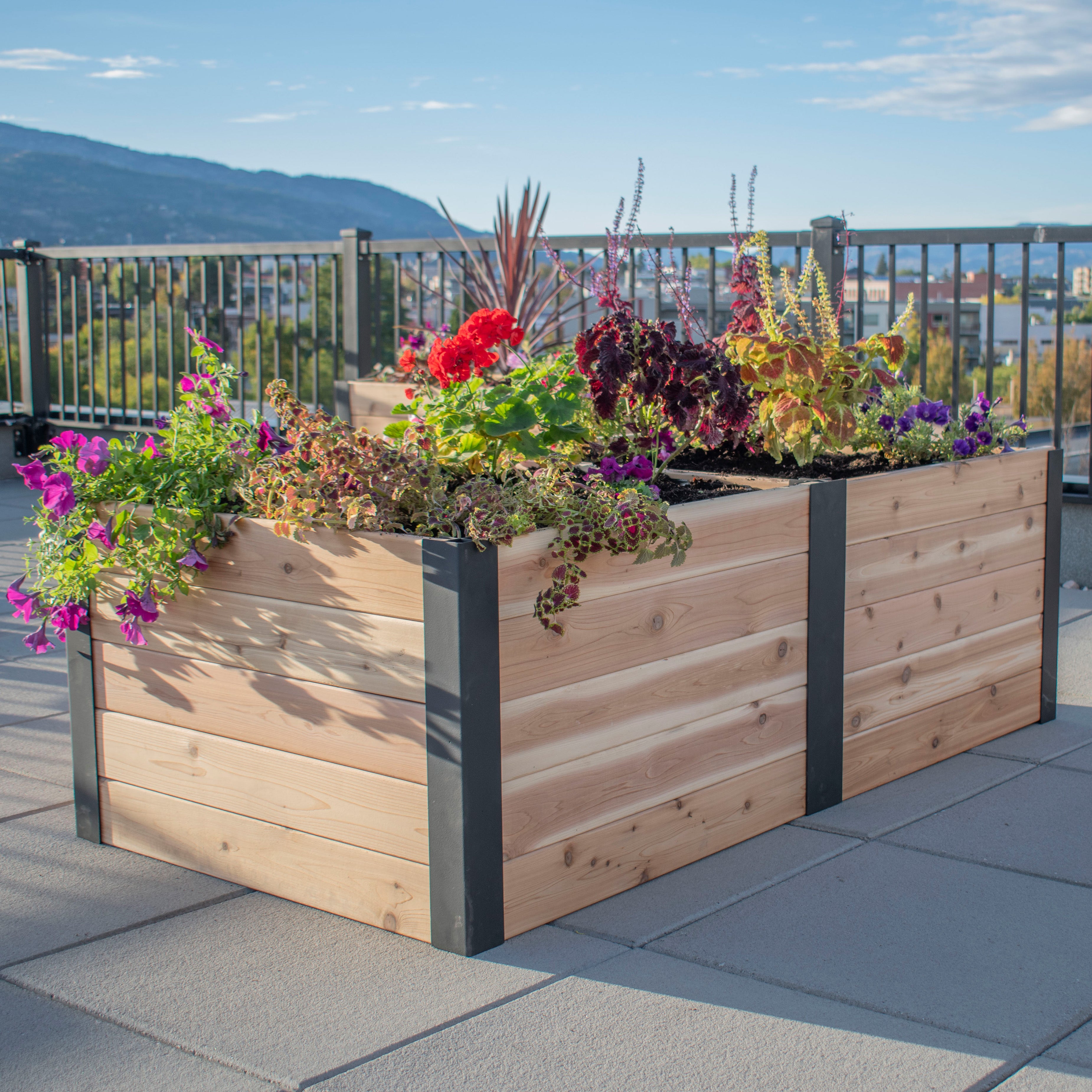 Outdoor Living Today 6x3 Western Red Cedar Urban Raised Garden Bed