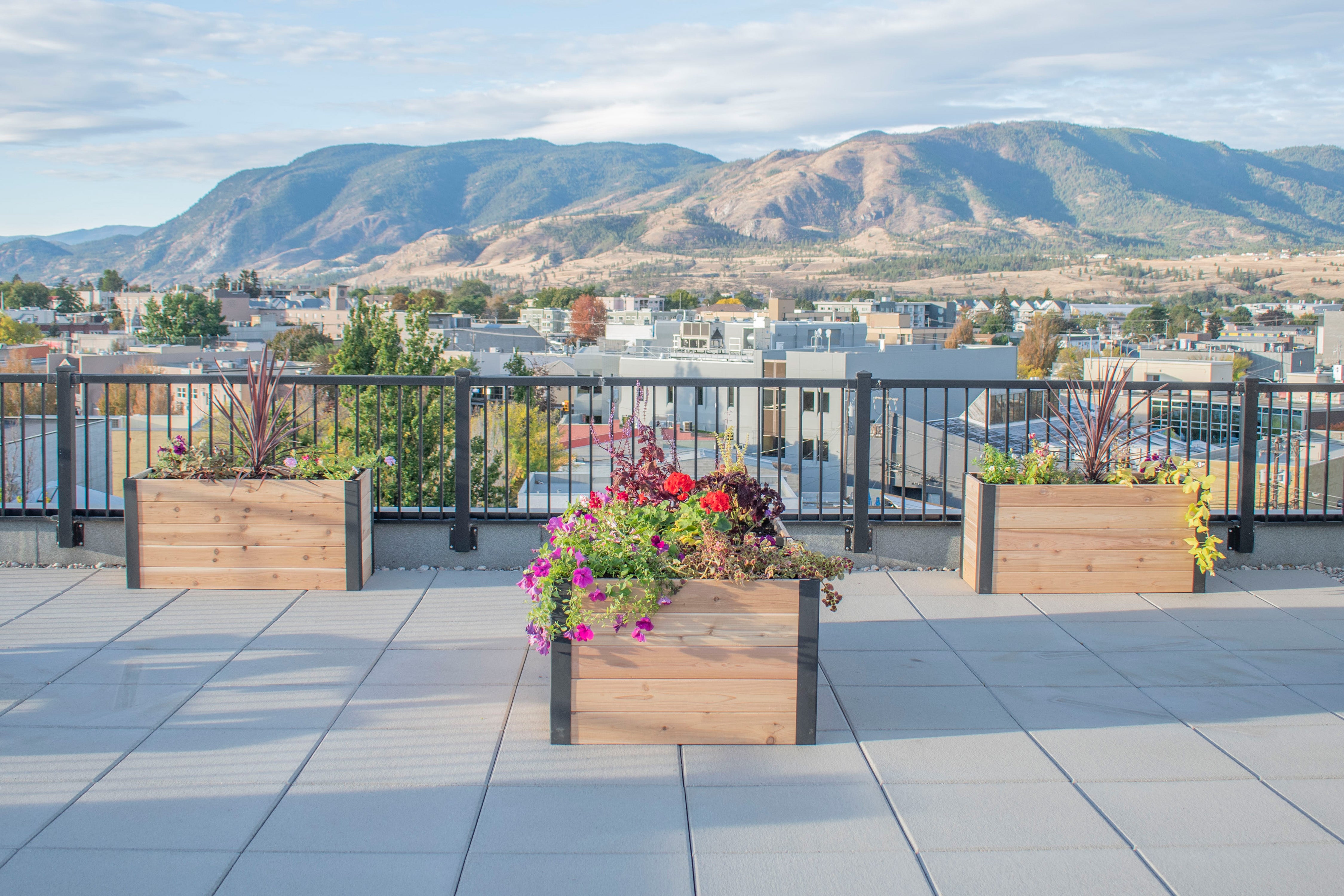 Raised Beds