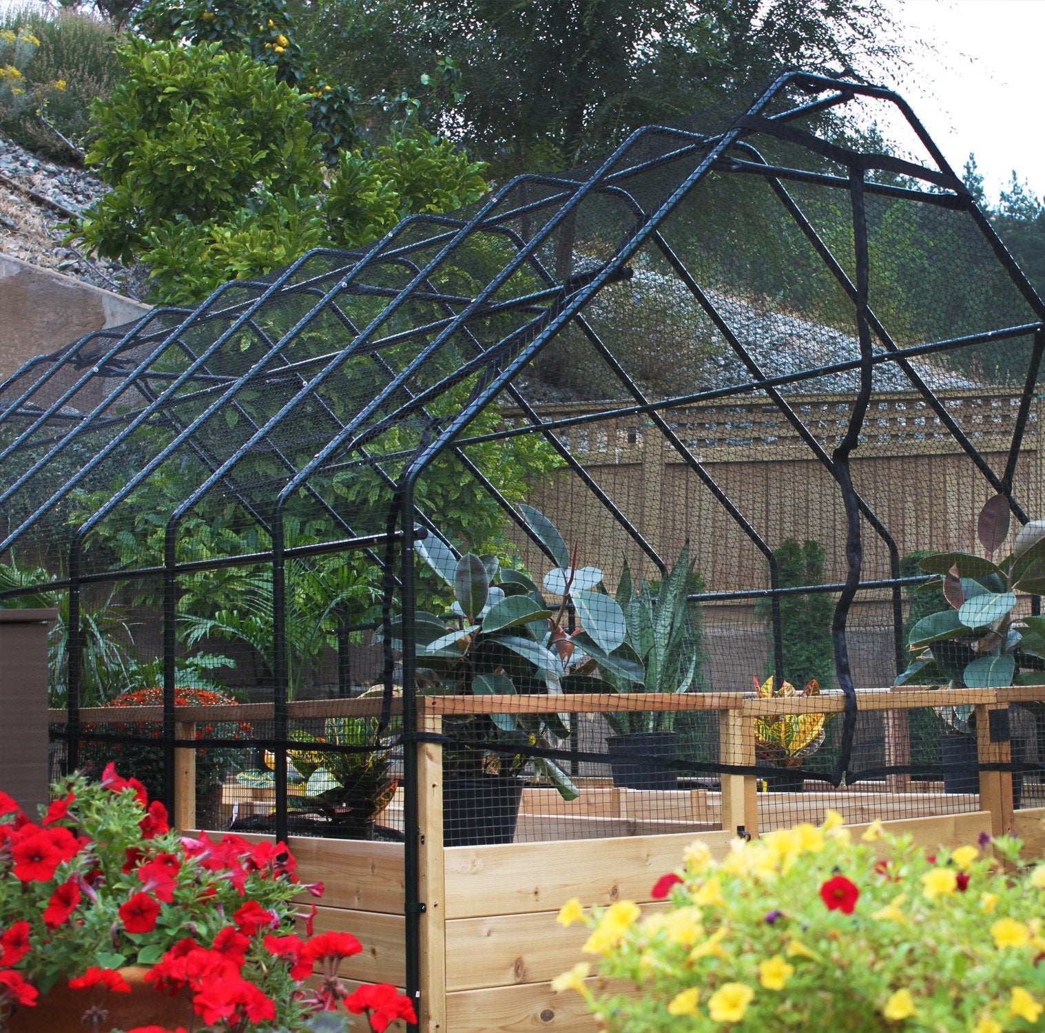 Outdoor Living Today 8x12 Western Red Cedar Raised Garden Bed with Bird Net Frame & Cover