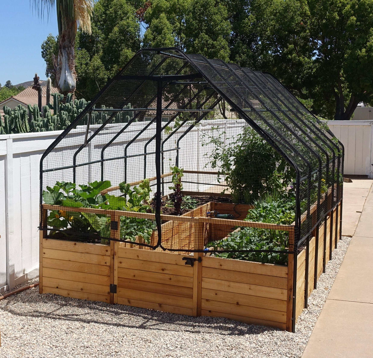 Raised cedar garden bed with Durable bird netting cover, black metal frame, mesh panels, and growing vegetables