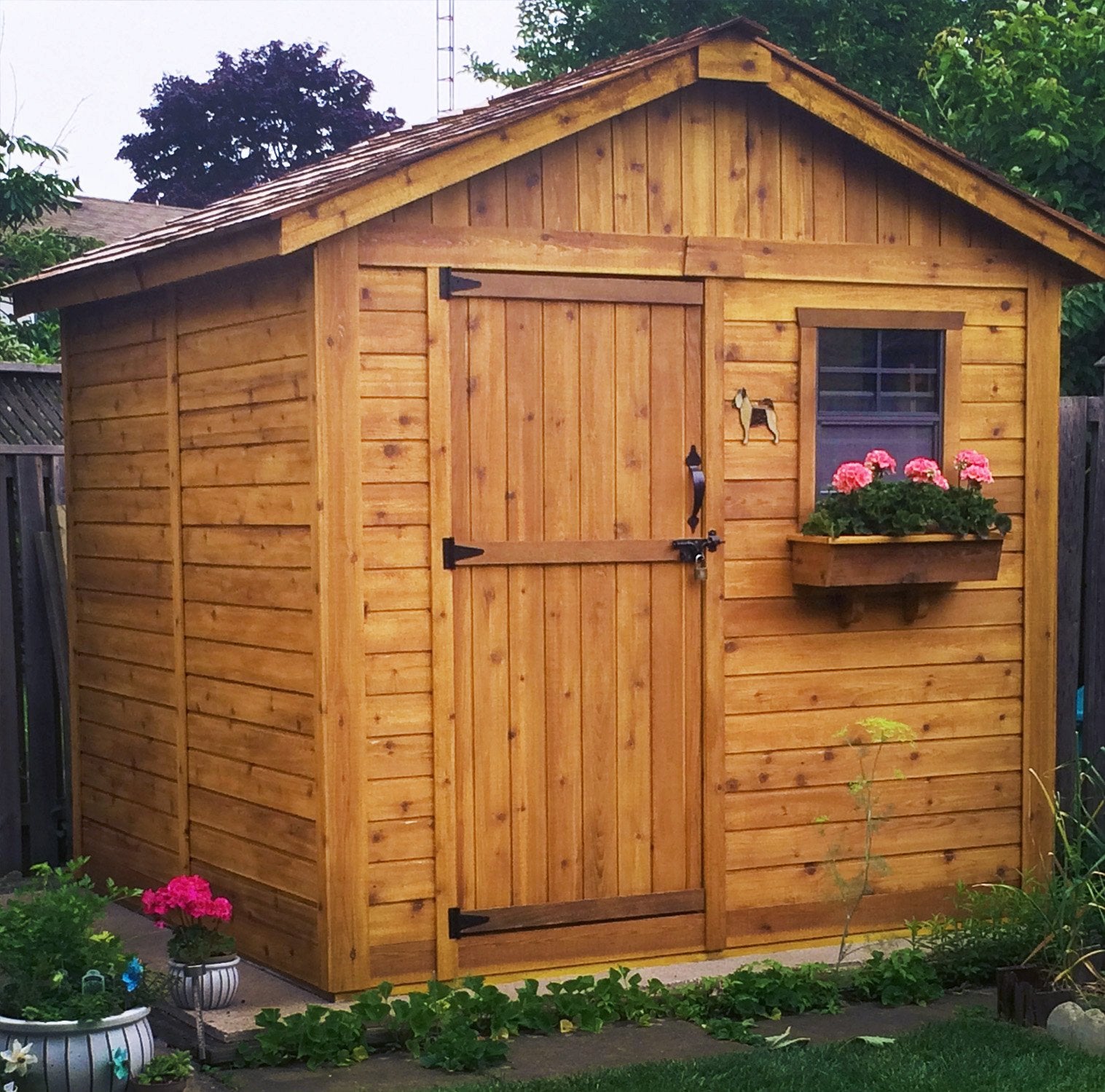 Outdoor Living Today 8x8 Western Red Cedar Gardener Shed with Cedar Roof