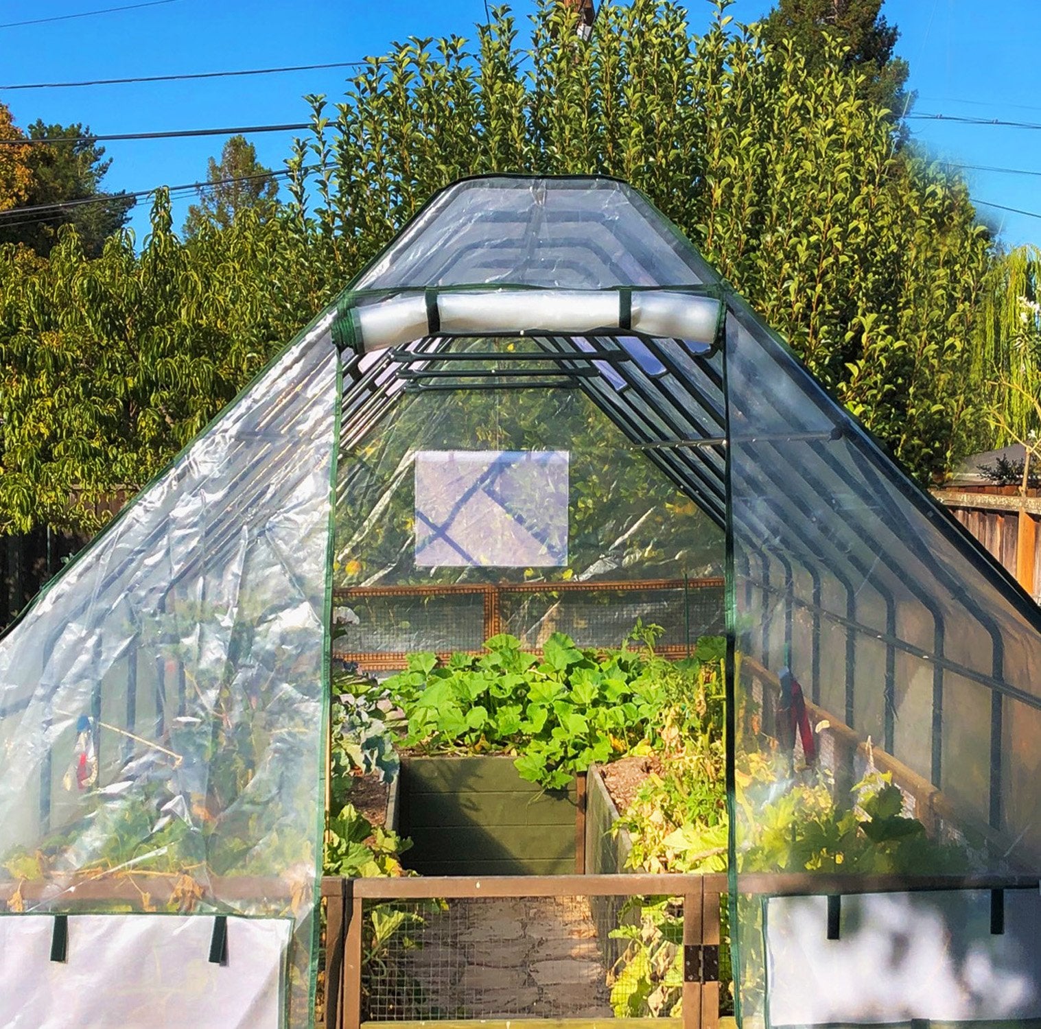 Outdoor Living Today 8x8 Western Red Cedar Raised Garden Bed with Greenhouse Option