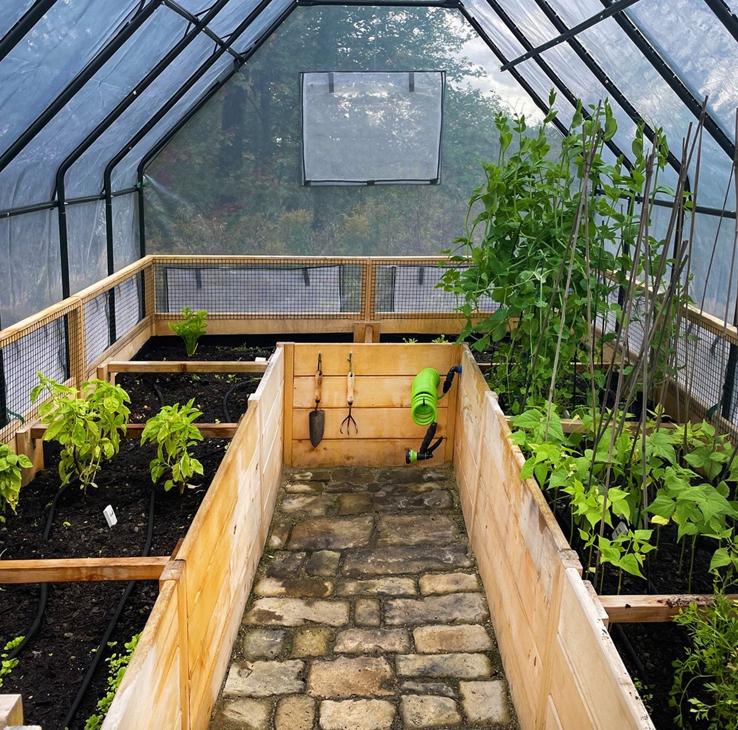 Outdoor Living Today 8x8 Western Red Cedar Raised Garden Bed with Greenhouse Option