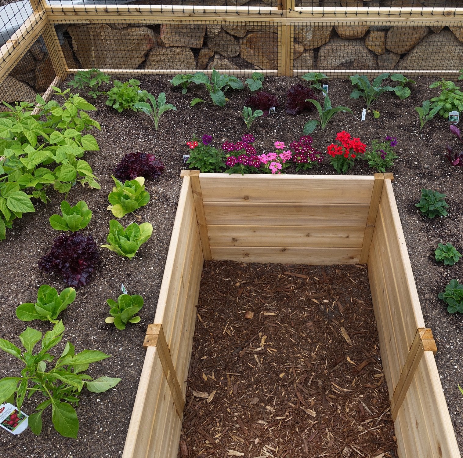 Outdoor Living Today 8x16 Western Red Cedar Raised Garden Bed