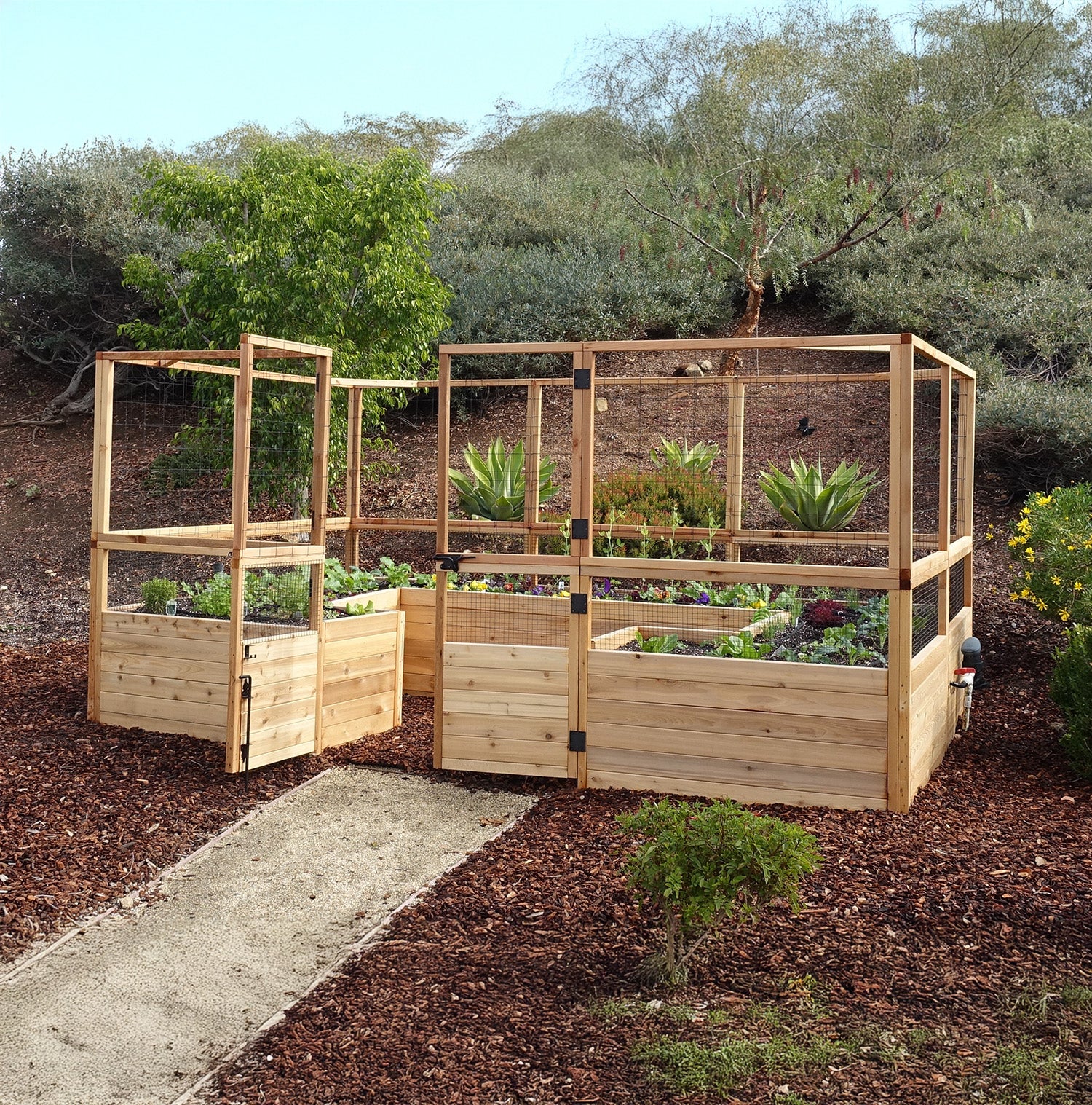 Outdoor Living Today 12x8 Western Red Cedar Raised Garden Bed with Deerfence