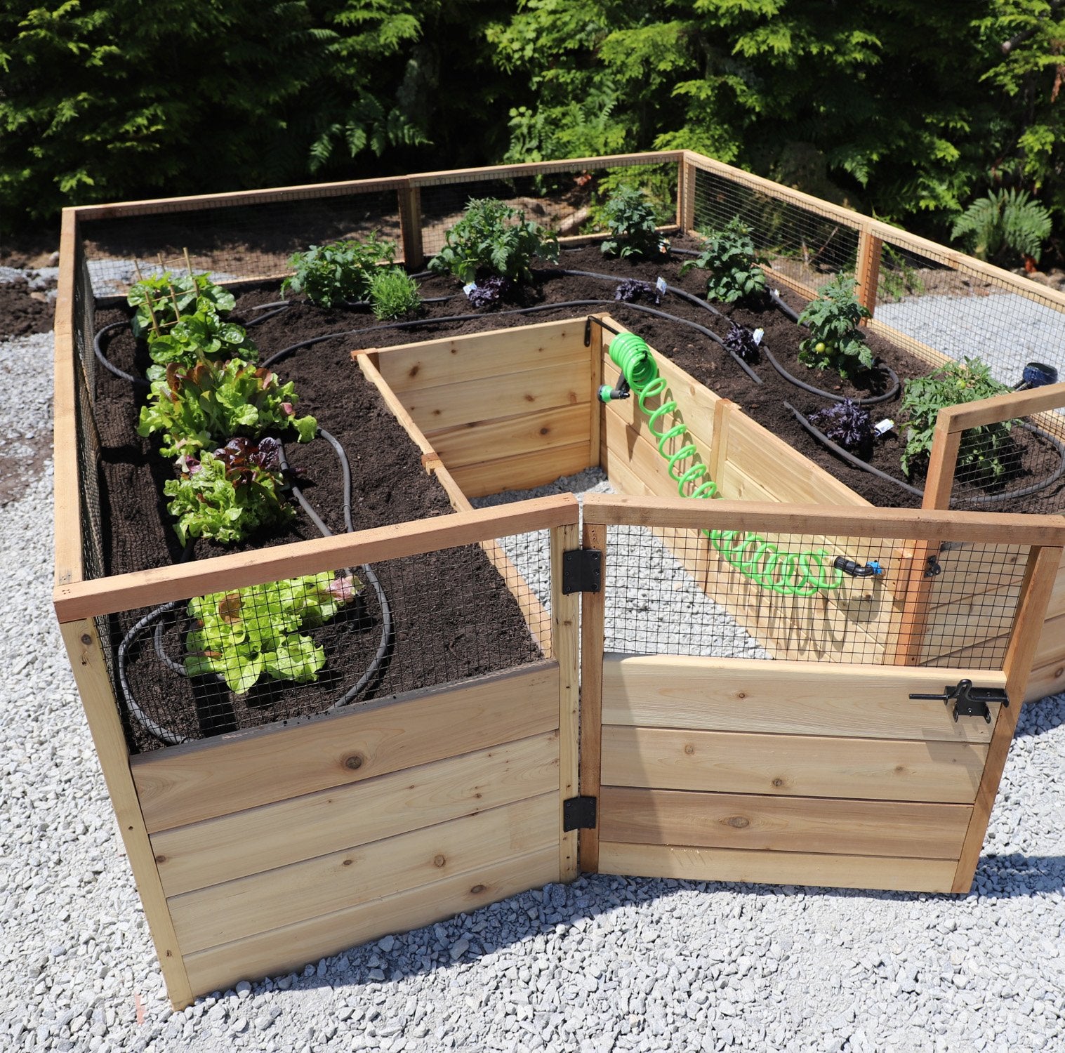 Outdoor Living Today 8x8 Western Red Cedar Raised Garden Bed