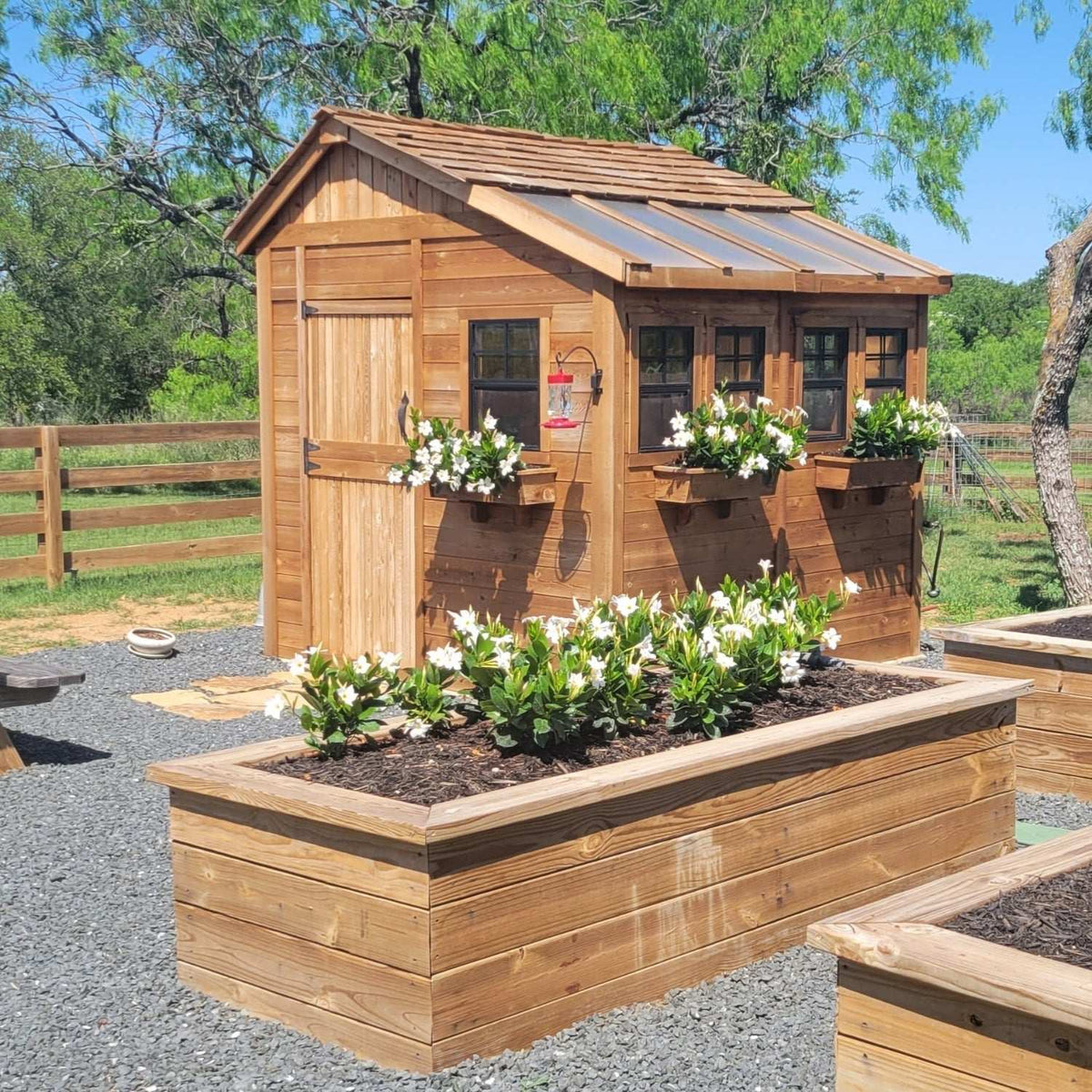 Western Red Cedar garden shed with natural wood siding, Dutch door, windows, flower boxes, and raised planters
